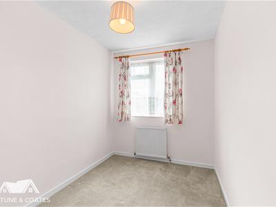 Picture 17